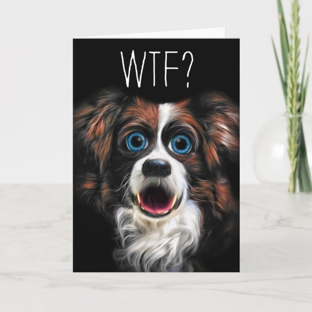 Carte WTF ? Anniversaire tardif avec le chien drôle de (Devant)