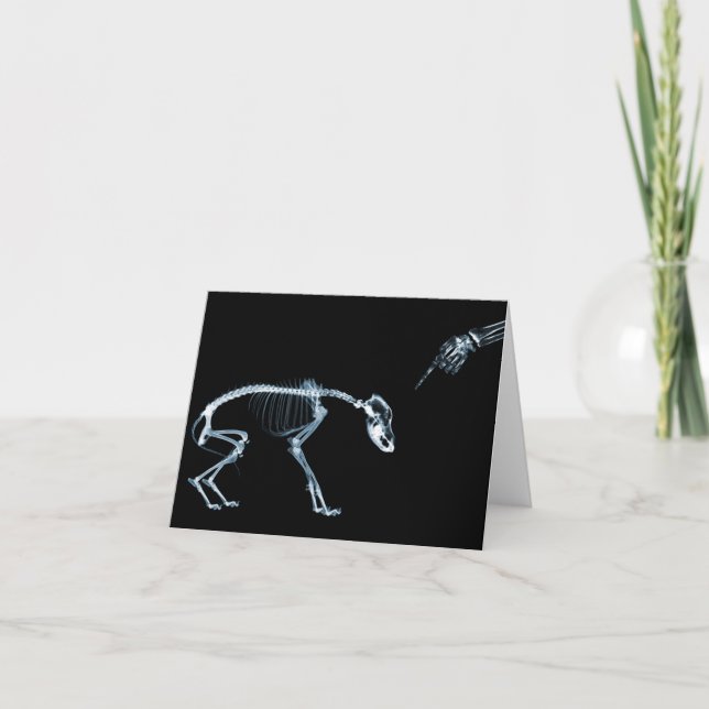 Carte X-Ray Skeletons Blue Bad Chien (Devant)
