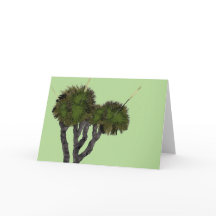 Xanthorrhoea en vert