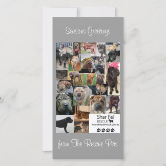 Carte Xmas Secourt Shar Pei