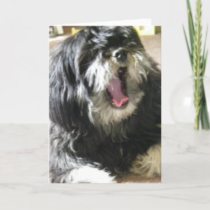 Carte YAWNING CUZ JE SUIS GARÉ 40e ANNIVERSAIRE