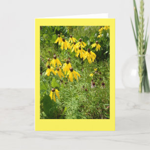 Carte Yellow Coneflower II Blank Note Card
