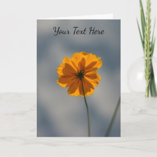 Carte Yellow Coreopsis