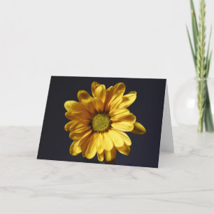 Carte Yellow Gerbera Daisy