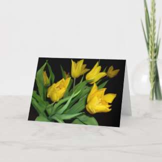 Carte Yellow Tulips