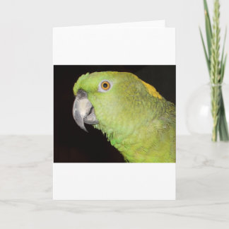 Carte Yellownape Amazone