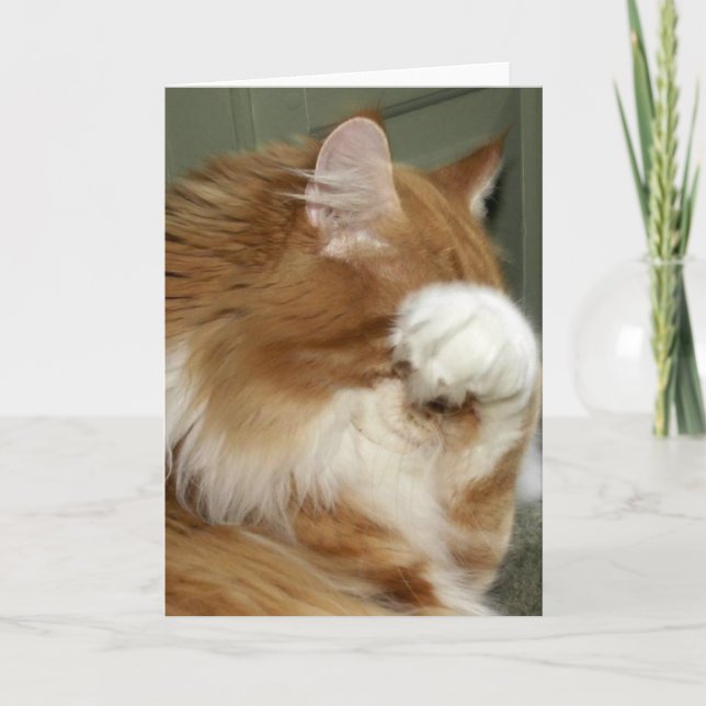 Carte Yeux de couverture de chats (Devant)