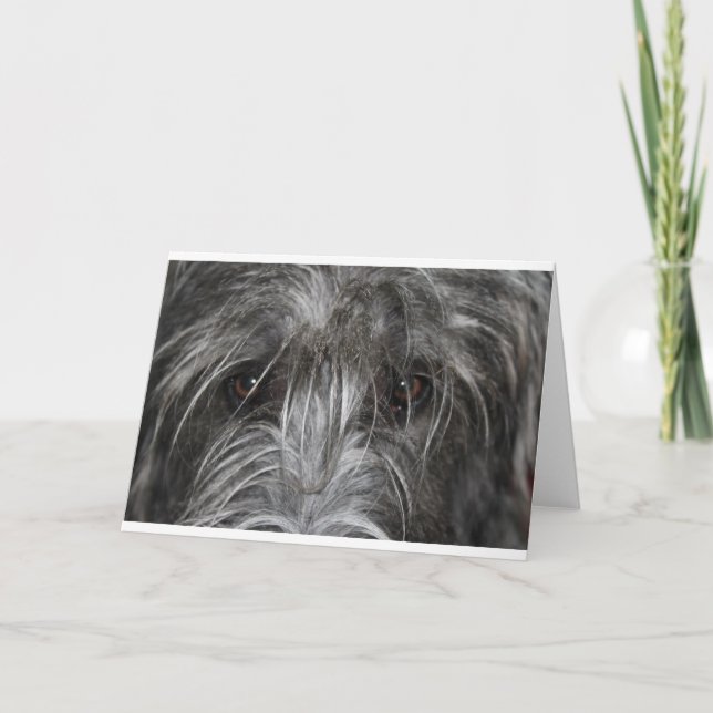 Carte Yeux qui hypnotisent (Devant)