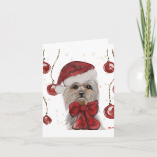 Carte Yorkie