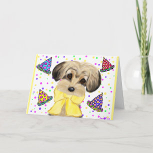 CARTE YORKIE POO