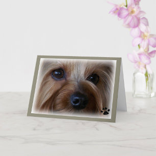 Carte Yorkie Te Yyes
