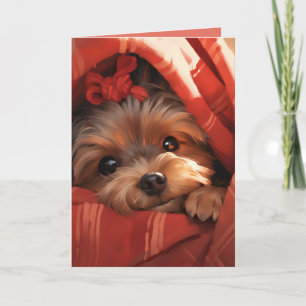Carte Yorkshire Terrier