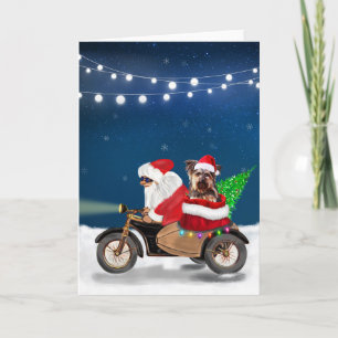 Carte Yorkshire Terrier Chien Noël Noël Père Noël