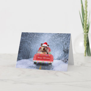 Carte Yorkshire Terrier Dog in Snow sitting in Christmas
