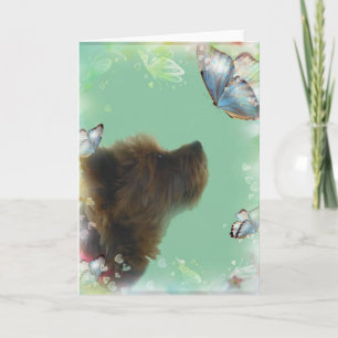 Carte Yorkshire Terrier Greeting Card