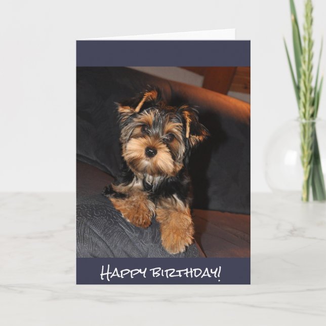 Carte Yorkshire Terrier mignon, joyeux anniversaire ! (Devant)
