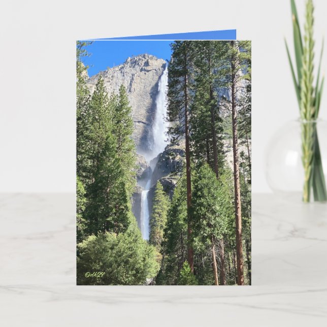 Carte Yosemite 2024 (Devant)
