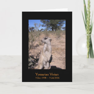 Carte Yossarian - Legends Card