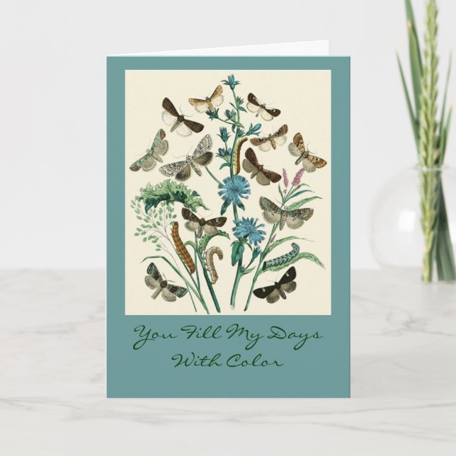 Carte You Fill My Days With Color (Devant)