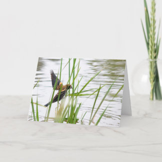 Carte Young Bird in Flight