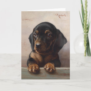 Carte Young Dachshund   Carl Reichert