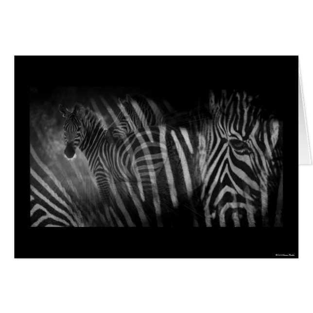 Carte Zebras (Devant horizontal)