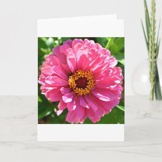 Carte Zinnia rose (Devant)