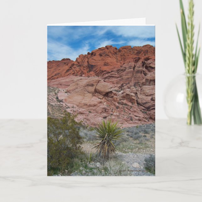 Carte Zone de conservation du canyon de Red Rock (Devant)