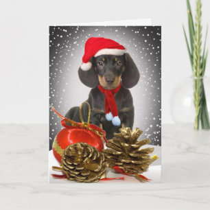Cartes à col de Noël Dachshund