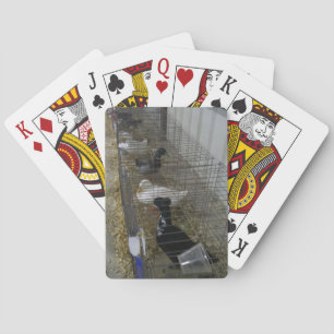 Cartes à jouer au canard