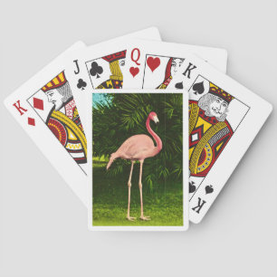 Cartes à jouer au flamant rose magnifiquement