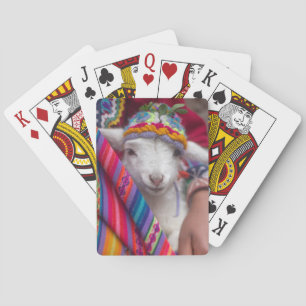 Cartes à jouer avec un agneau bébé mouton animal m