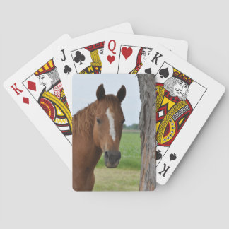 Cartes à jouer Cheval près de l'arbre