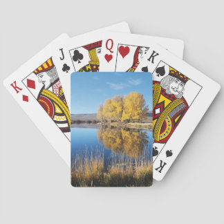 Cartes à jouer de Mirror Pond