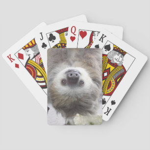 Cartes à jouer de paresseux