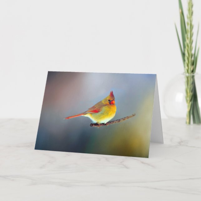 Cartes à mémoire partagée (Devant)