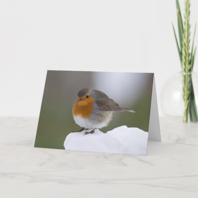 Cartes à neige Robin européen (Devant)