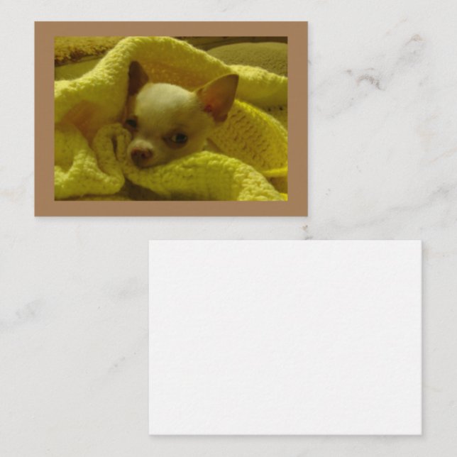 Cartes à notes plates Chihuahua bloquées (Devant / Derrière)