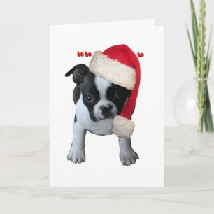 Cartes :  Bébé de Père Noël