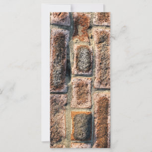 CARTES BRICKS RACK