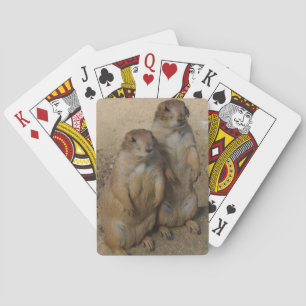 Cartes Carte de jeu de chien de prairie