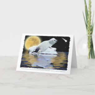 Cartes CELESTIELLES DE SEAL HARP POUR ENFANTS