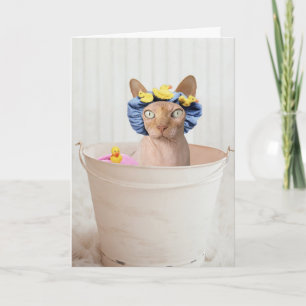 CARTES CHAT SPHYNX (SANS CHEVEUX) CHAT FUNNY