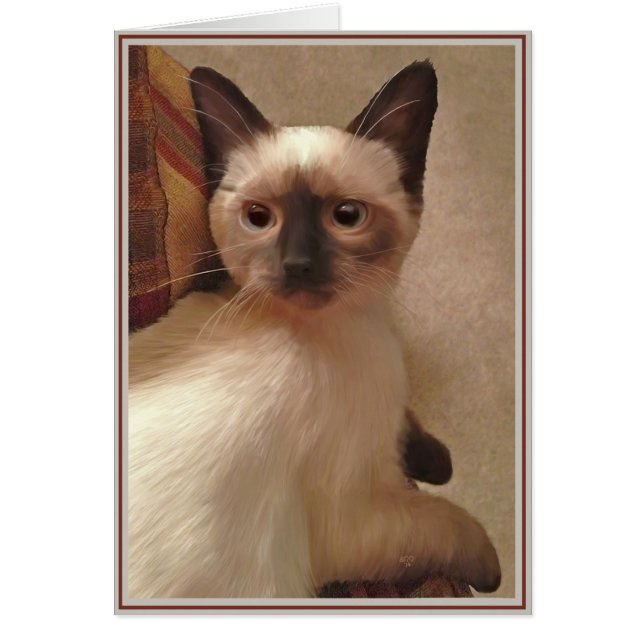 Cartes Chats PUPs 15 (Devant)