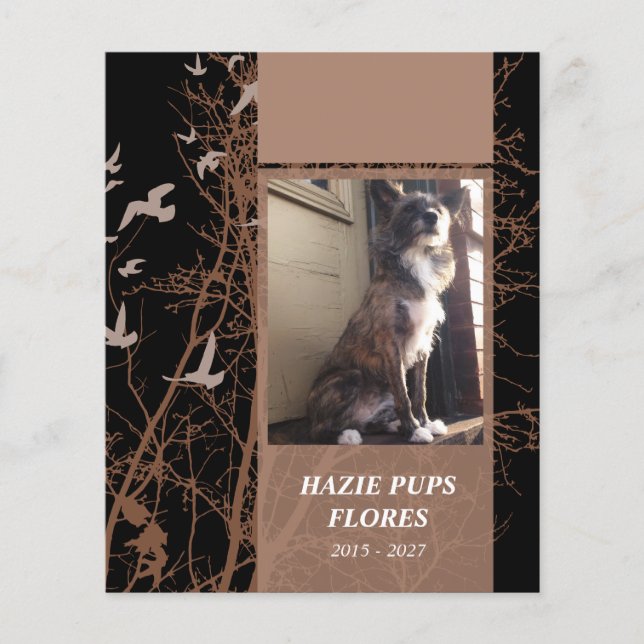 cartes commémoratives oiseaux d'argent (Devant)