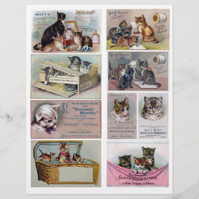 Cartes commerciales de publicité victorienne Vinta (Devant)