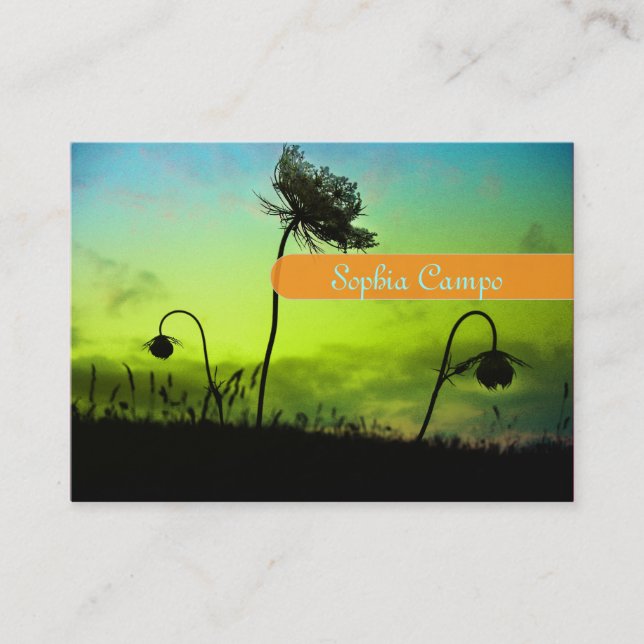 Cartes d'affaires photographiques (Devant)