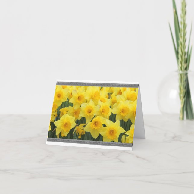 CARTES DAFFODIL (Devant)