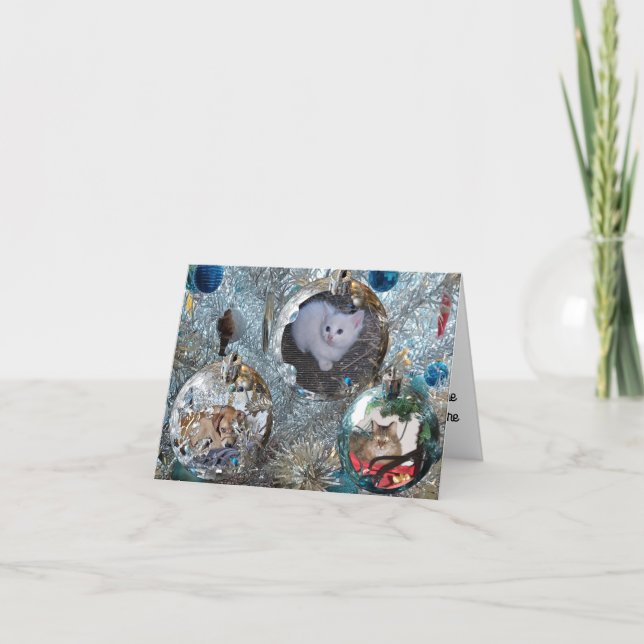 Cartes d'ampoules sur arbre de guirlandes (Devant)