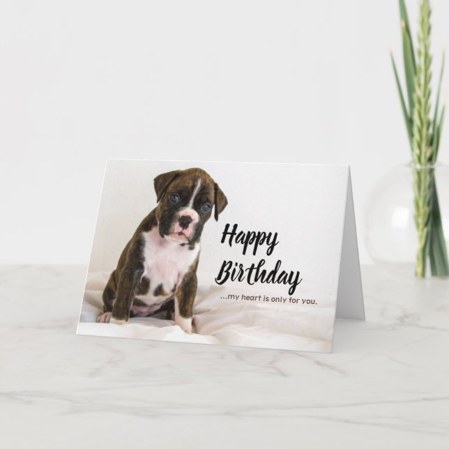 Cartes d'anniversaire Chiens - Chiens de boxe, Chi (Devant)